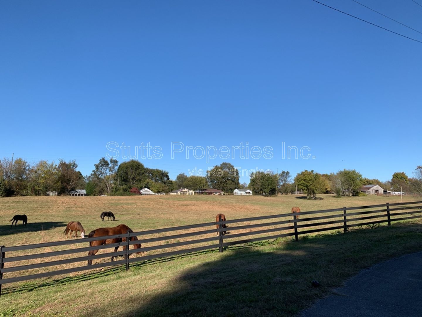 1924 Chisholm Rd. Florence, AL 35630 (3BD/2BA) property image