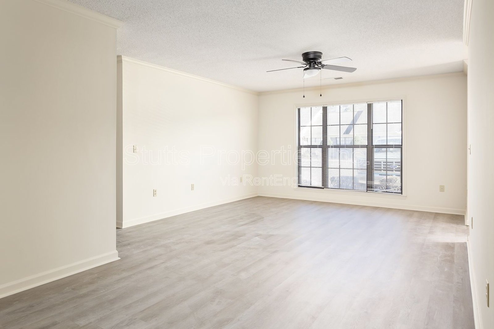 **Newly Renovated, Quiet 2BR/2BA Upstairs or Downstairs Apartment With Creekside View in Florence ** property image