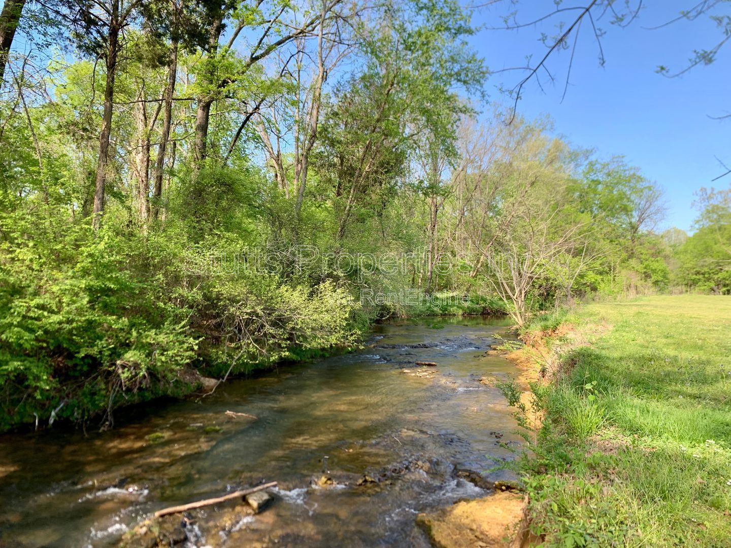 **Newly Renovated, Quiet 2BR/2BA Upstairs or Downstairs Apartment With Creekside View in Florence ** property image