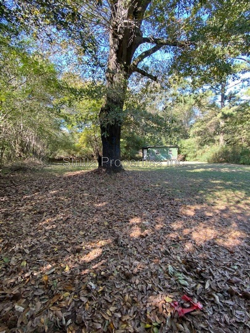 217 Pickens Avenue Florence AL 35630 (3BD/1BA) property image